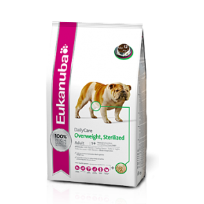 dailycare_overweight_2