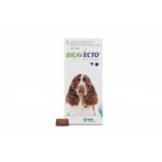 medium-dog-with-chew-500x500