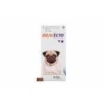 small-dog-with-chew-500x500