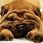 images-2
