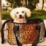 -font-b-Dog-b-font-font-b-bag-b-font-font-b-carrying-b-font -font-b-Dog-b-font-font-b-bag-b-font-font-b-carrying-b-font