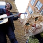 Homeless-red-cat-bob-02 Homeless-red-cat-bob-02