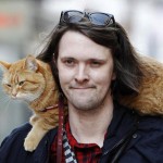 Homeless-red-cat-bob-03 Homeless-red-cat-bob-03