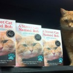 Homeless-red-cat-bob-09 Homeless-red-cat-bob-09