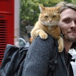 Homeless-red-cat-bob-31 Homeless-red-cat-bob-31