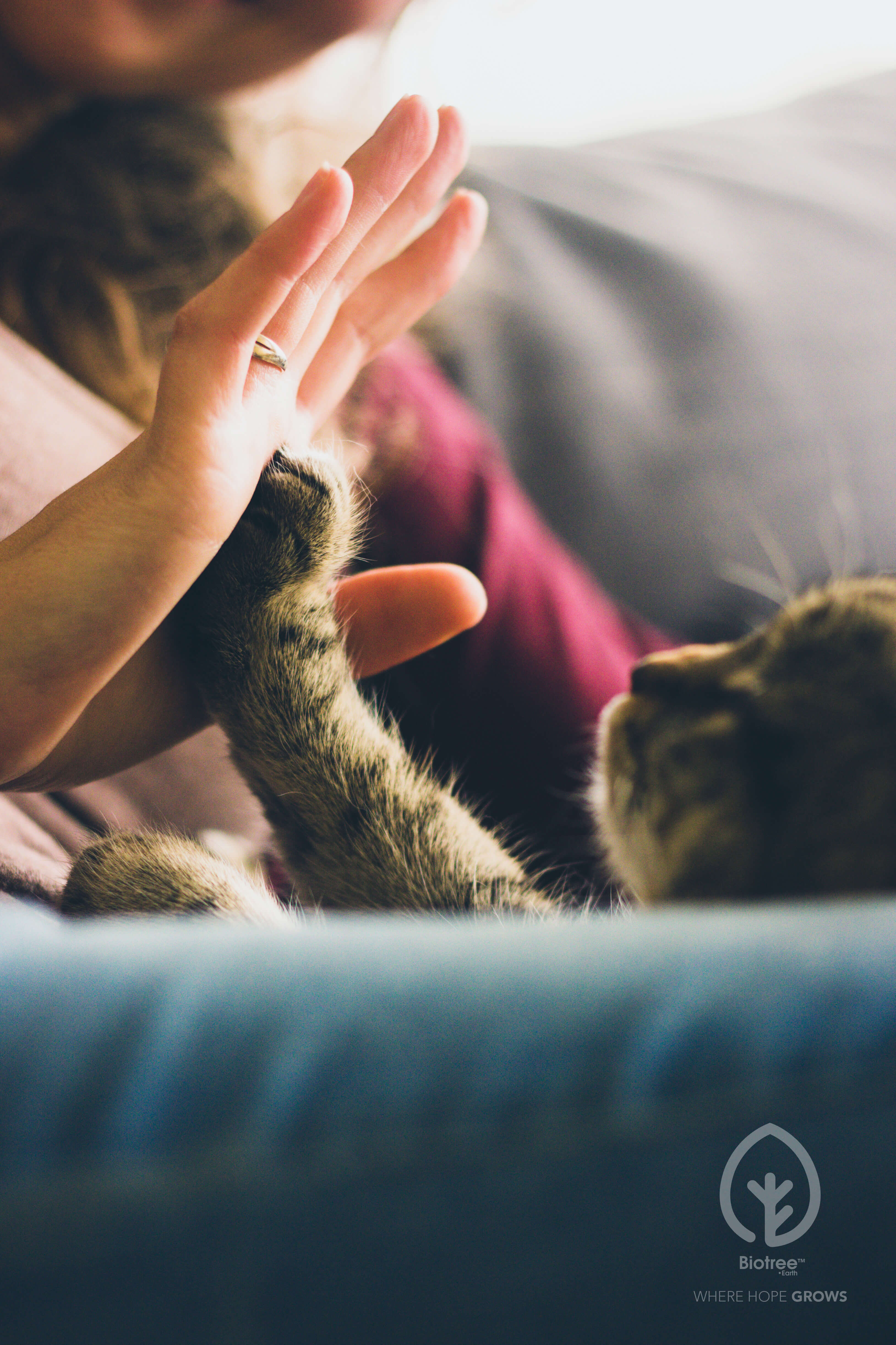 Pet touch