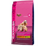 eukanuba-dog