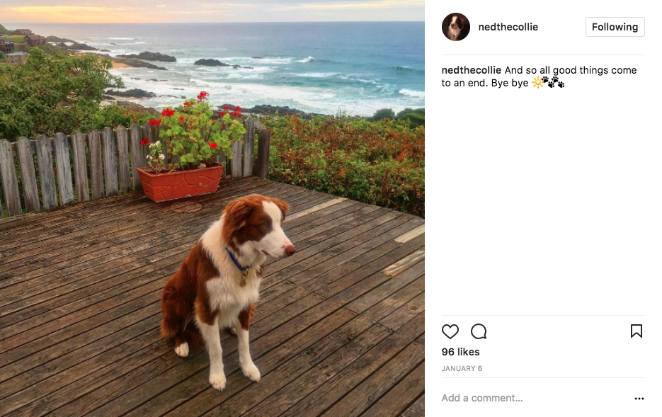 Ned loves holidays by the beach