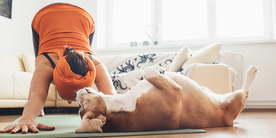 bucket-list-doga