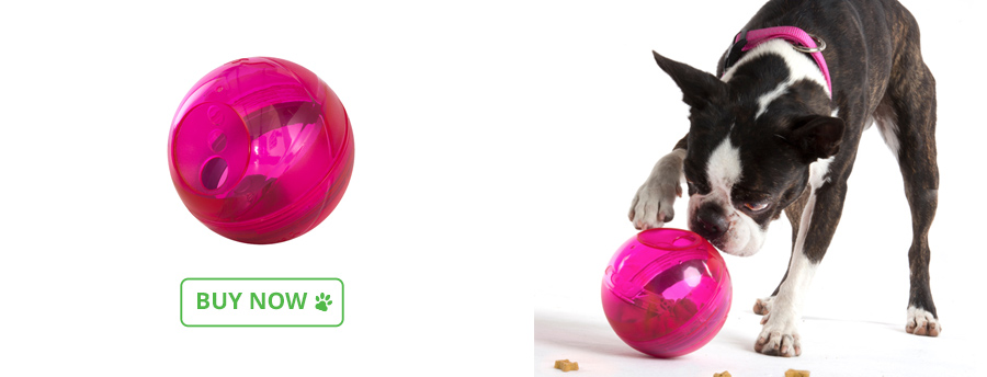 bowl-interactive