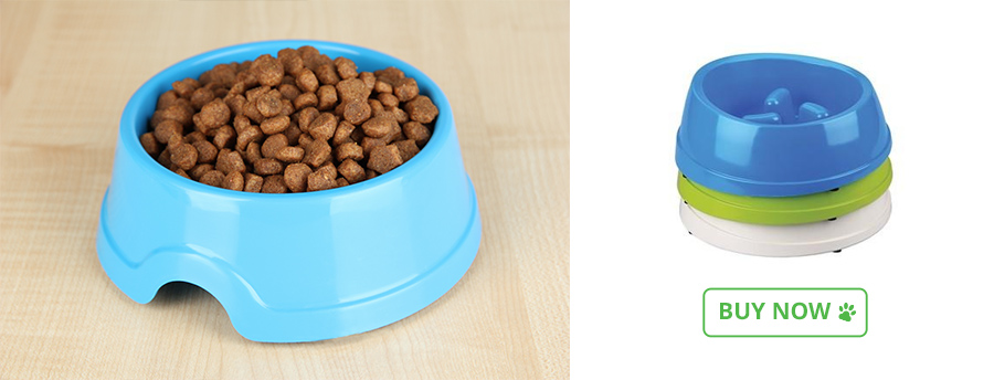 bowl-slow-feeder