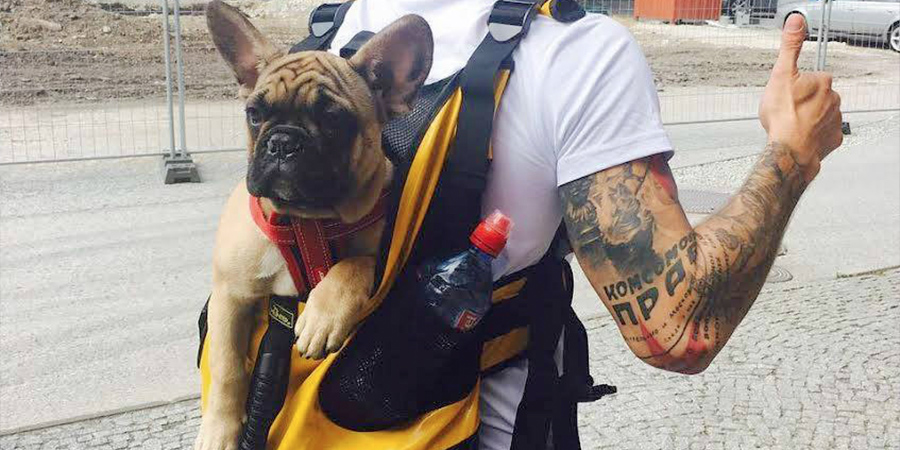 rufus-blog-backpack