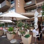 voodoo-lily