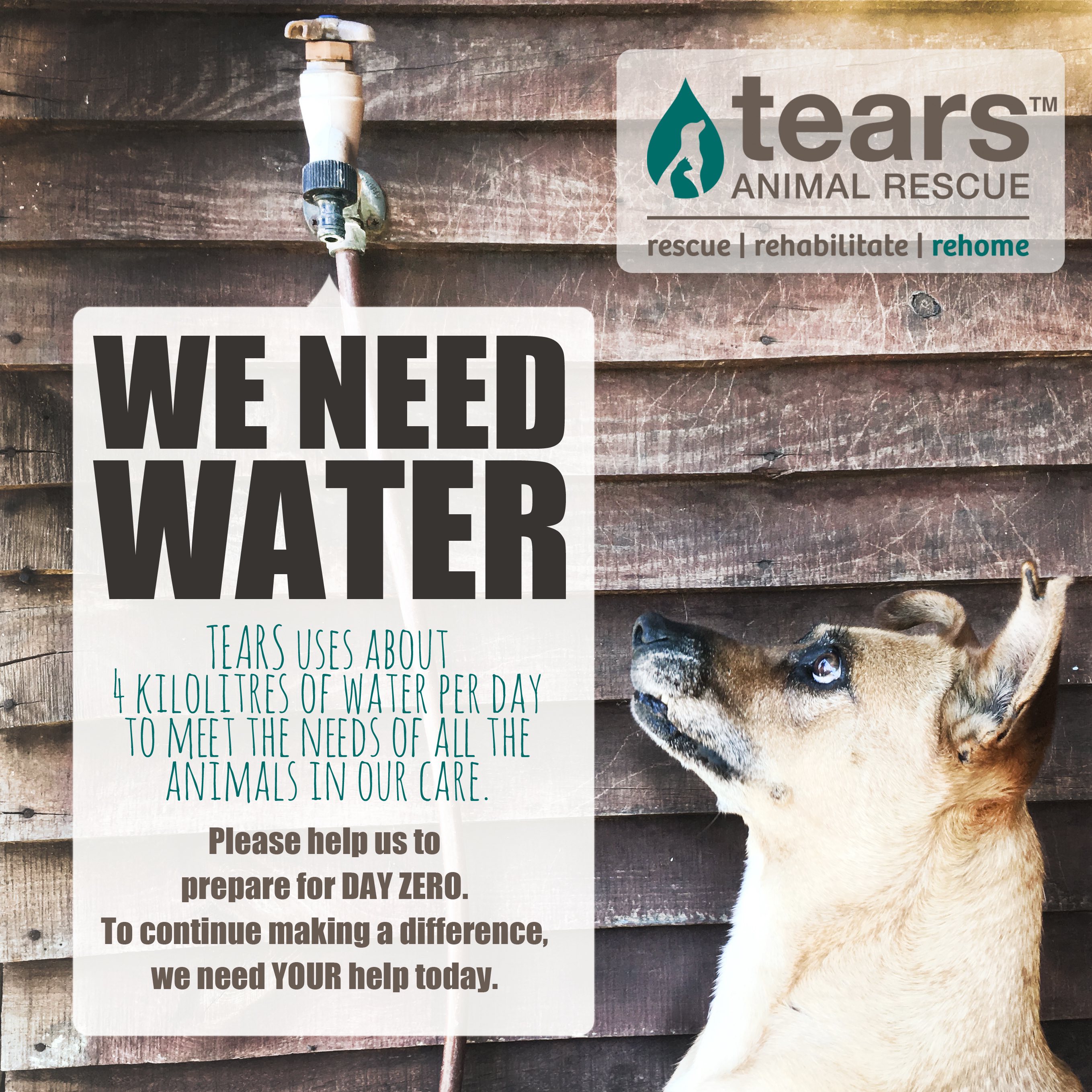 water2_TEARS