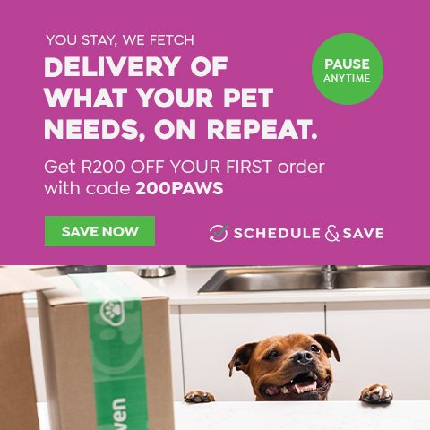 S&S R200 OFF - WE'LL FETCH