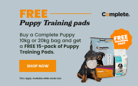 Buy Complete puppy food and get free puppy pee pads