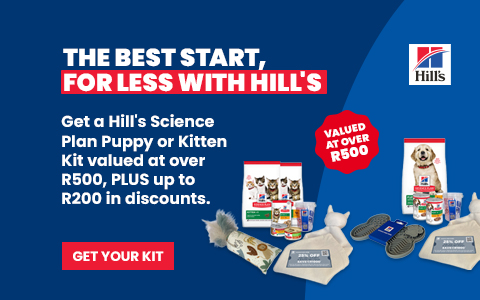 Hill's puppy and kitten starter kit