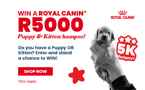 Royal Canin Puppy and Kitten hamper