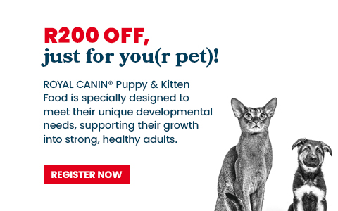 Royal Canin puppy and kitten