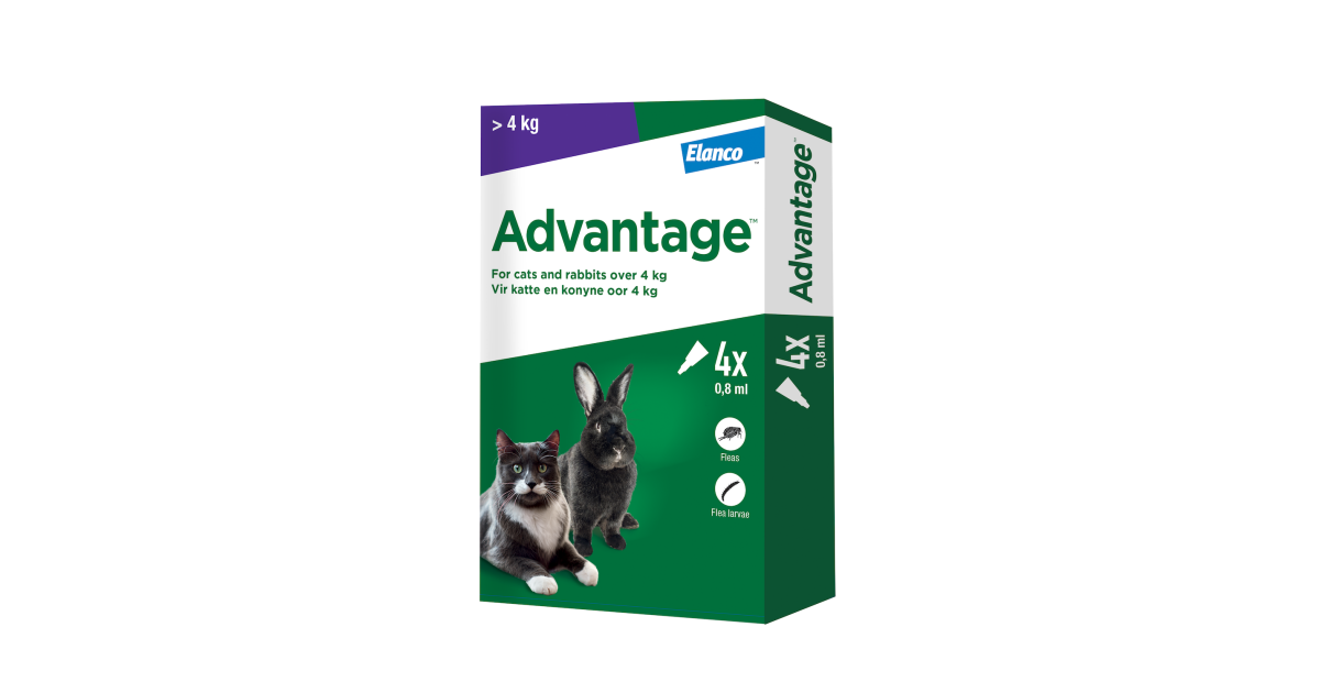 Pet Heaven | Buy Advantage Online in South Africa | Advantage Large Cat ...