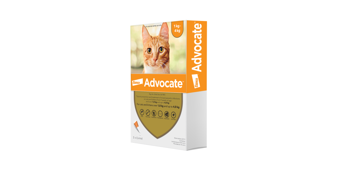 Pet Heaven Buy Advocate Online in South Africa Advocate Kitten