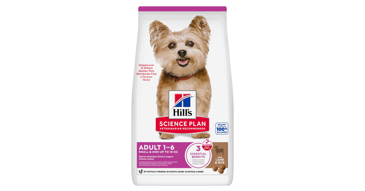 canine_adult_small_mini_lamb_r