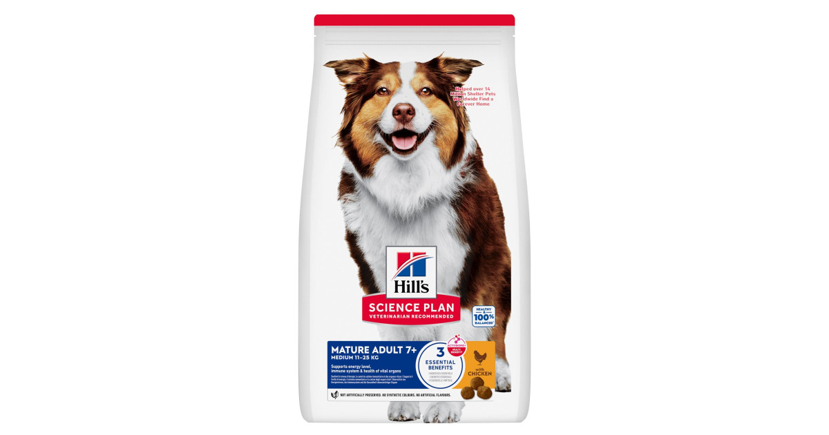 canine_mature_adult_medium_chi
