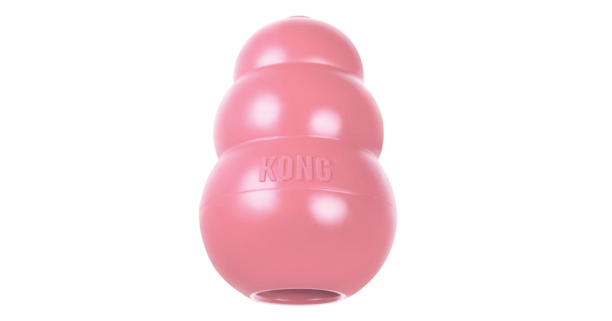 Pet Heaven | Buy Kong Online in South Africa | Kong Puppy Dog Toy