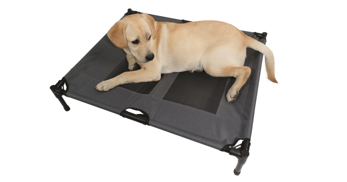 Elevated Bed Dog Beds Trampoline Style Pet Heaven Buy M-Pets
