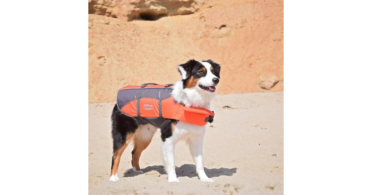 Pet Heaven Buy Outward Hound Online in South Africa Outward