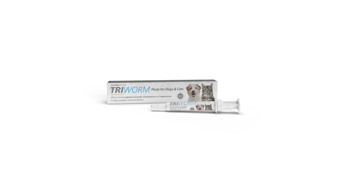 Pet Heaven Buy Triworm Online in South Africa Triworm Dog and Cat