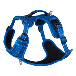 2-sjx06-b-explore-harness.jpg
