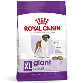 rc-shn-dry-giant-01.jpg