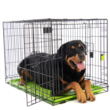 M-Pets Voyager Wire Pet Crate - Green
