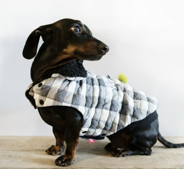 Dog's Life Stay Awesome Checkered Cape - Black