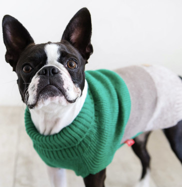 Dog's Life Geo Knit Polo Neck Dog Jersey - Green