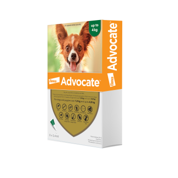 Advocate Puppy & Small Dog Tick, Flea & Worm Spot-On Treatment - 1-4kg 