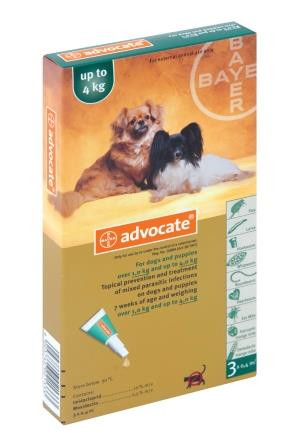 Advocate Puppy & Small Dog Tick, Flea & Worm Spot-On Treatment - 1-4kg 