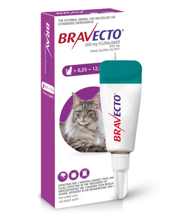 Bravecto Large Cat 6.25-12.5kg Spot On Tick & Flea 