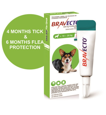 Bravecto Spot-On Medium Dog 500mg Tick & Flea Treatment