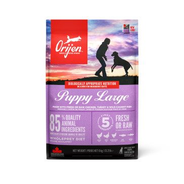 Orijen Large Puppy Food