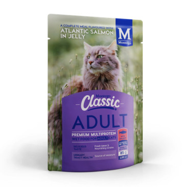 Montego Classic Atlantic Salmon in Jelly Cat Food Pouch