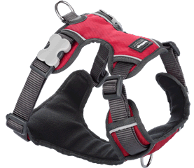 Red Dingo Padded Dog Harness-Red