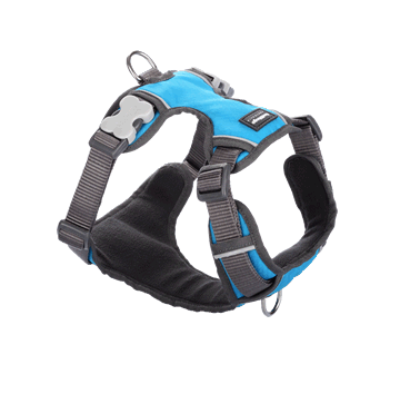 Red Dingo Padded Dog Harness-Turquoise