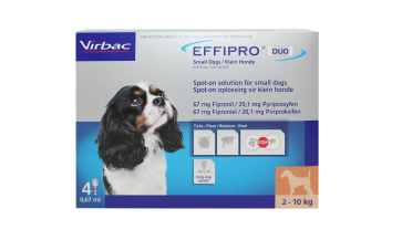 Effipro DUO Spot-On Treament for Small Dogs - 2-10kg - Pack of 4