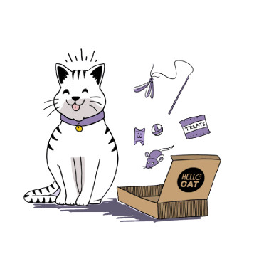 Hello Cat Box - 6 Box Subscription