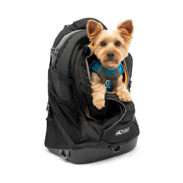 Kurgo G-Train Backpack Dog Carrier - Black