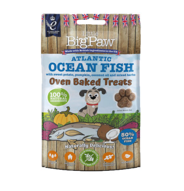 Little Big Paw Oven Baked Atlantic Ocean Fish Dog Treats