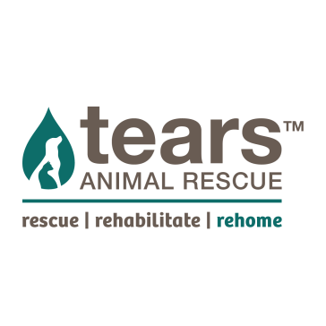 Donate R50 to TEARS