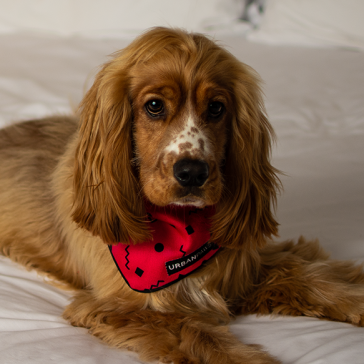 Urbanpaws Lula Dog Bandana